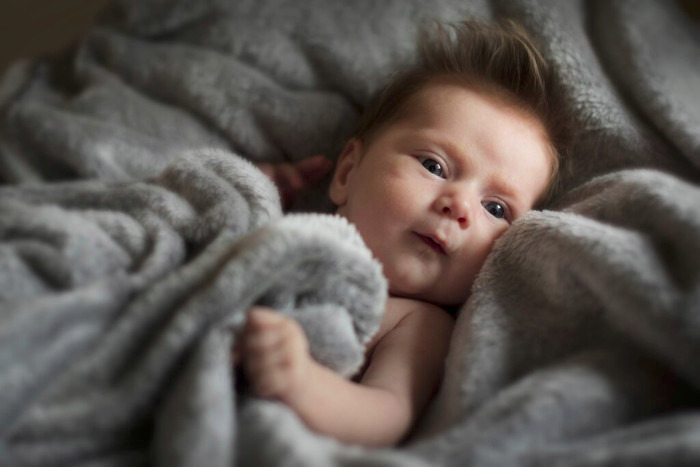 Picture form a newborn baby photoshoot